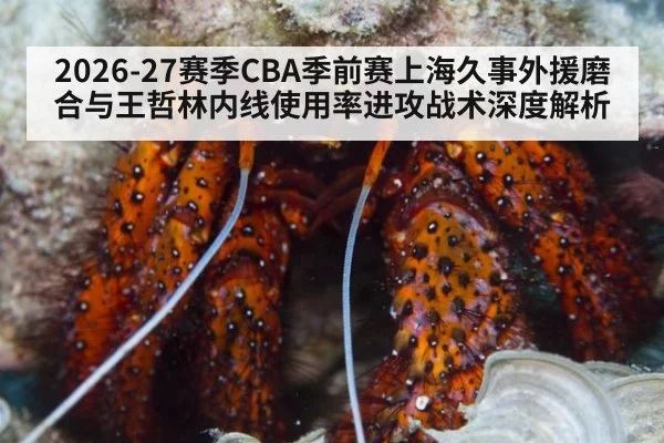 2026-27赛季CBA季前赛上海久事外援磨合与王哲林内线使用率进攻战术深度解析